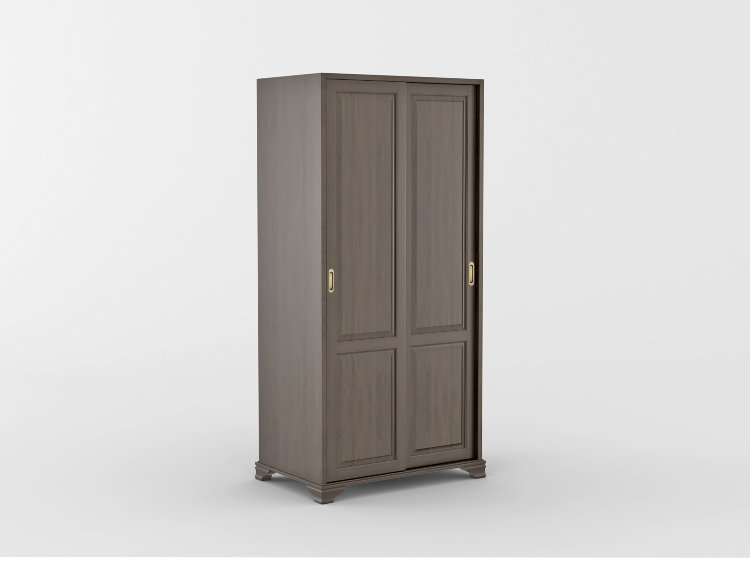 Шкаф-купе двухстворчатый &quot;Лира&quot; (направляющие СКМ)